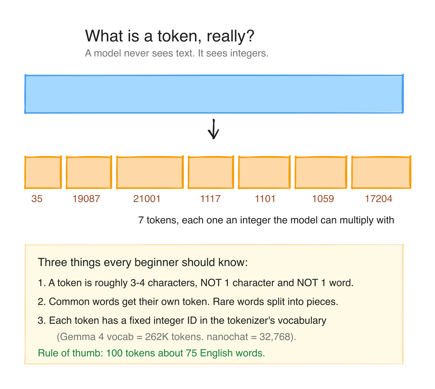 Diagram 2: How text becomes tokens, with examples
